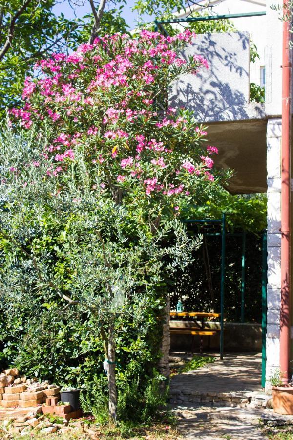 Bilini Garden Apartment 普拉 外观 照片